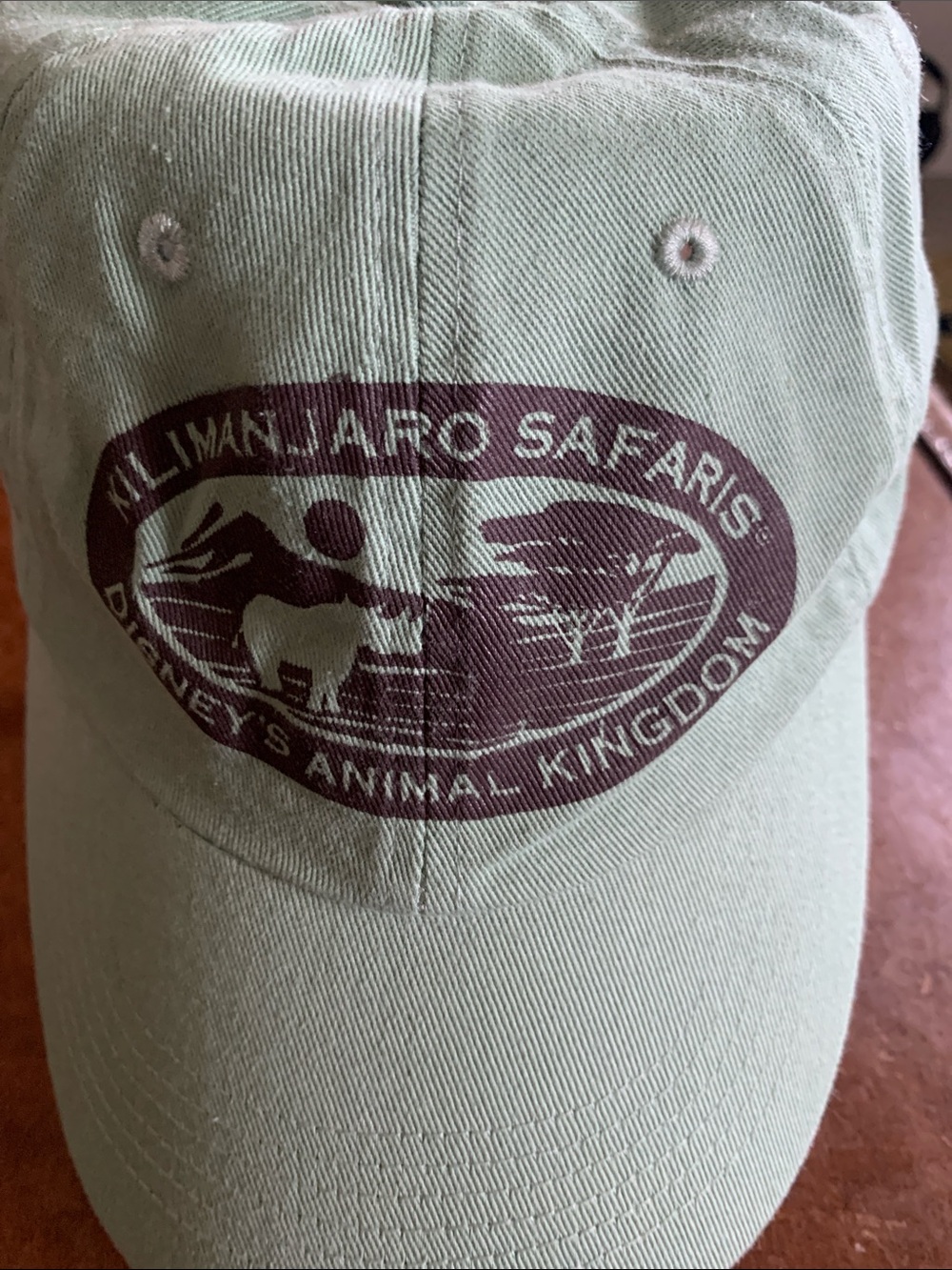 Disney Animal Kingdom Hat in Sage Green with Maroon Logo